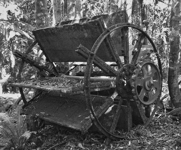 Abandoned gold mine